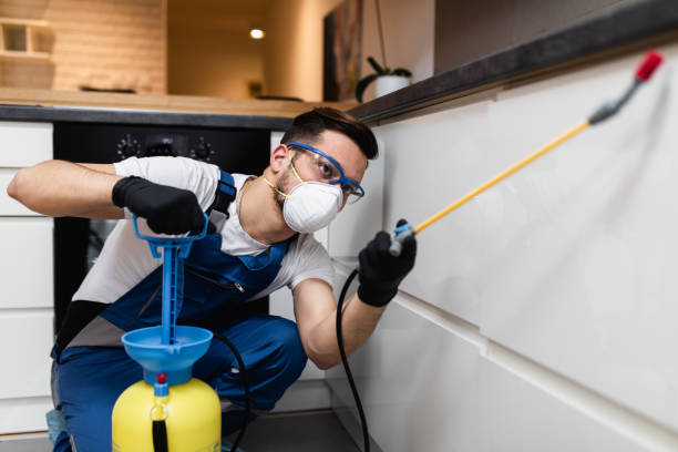 Best Mosquito Control Services  in Beavercreek, OH