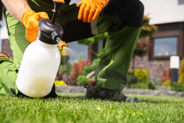 Wildlife Control Services in Beavercreek, OH