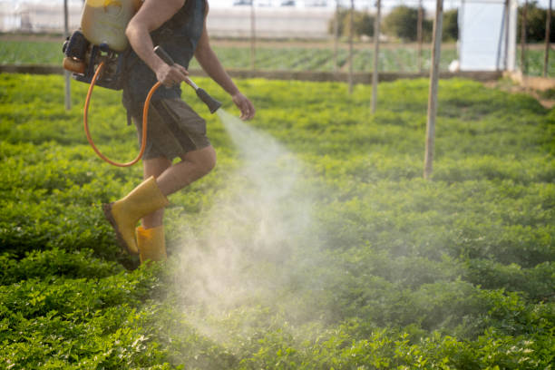 Best Best Pest Control Companies  in Beavercreek, OH