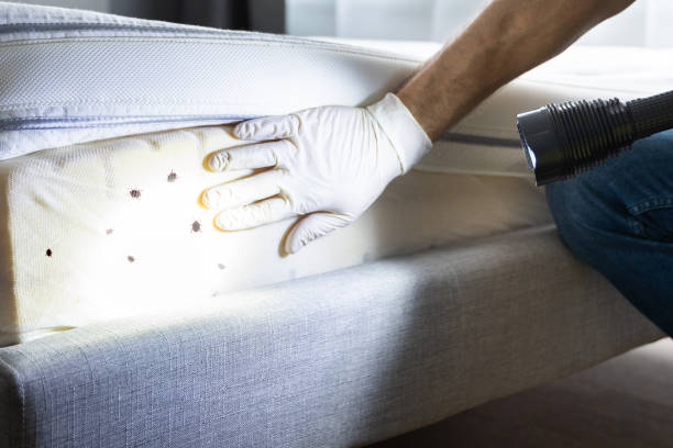 Best Wildlife Control Services  in Beavercreek, OH