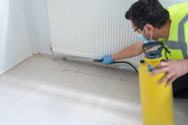 Best Pest Removal Services  in Beavercreek, OH