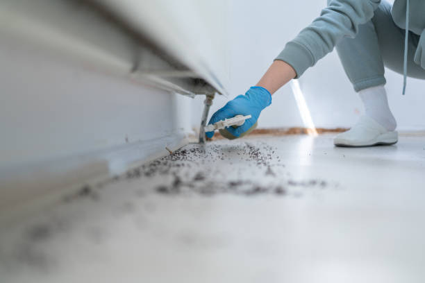 Best Termite Control Services  in Beavercreek, OH